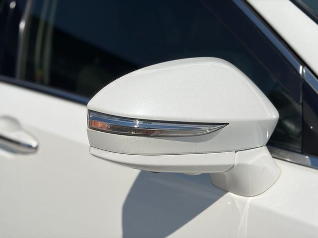 27052566_carP_l_16.jpg