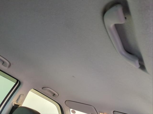27027124_carP_l_12.jpg