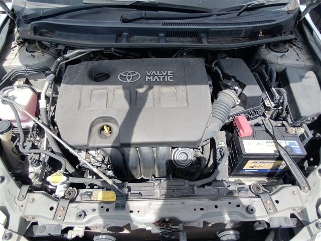 08.jpg