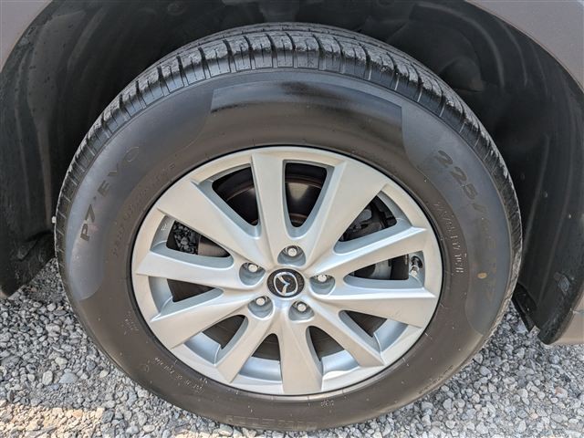 21.jpg