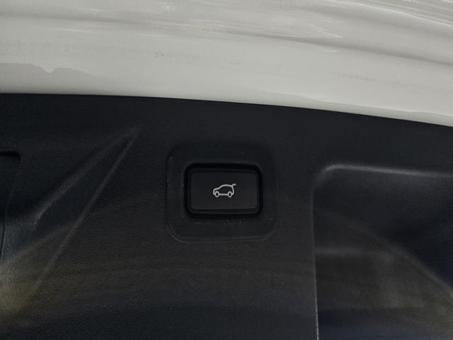 69937ec0cee95cb35170d751c534b12d.jpeg