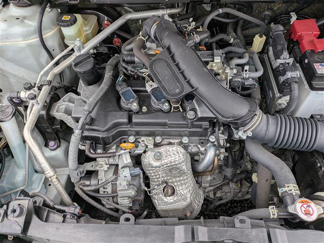 08.jpg