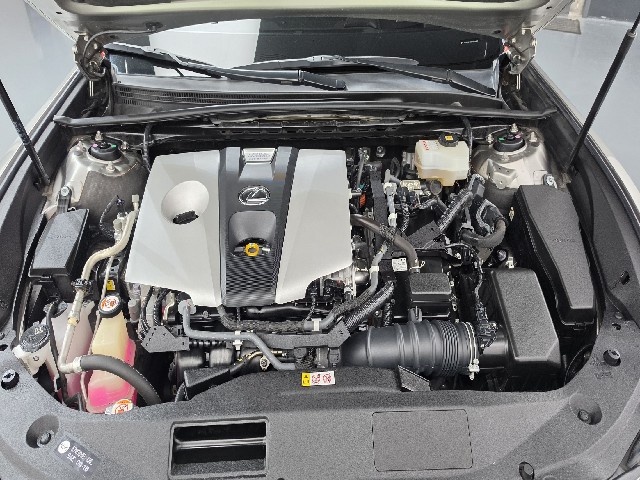 d20e308ea6139934ae865d921bf6ee2f.jpeg