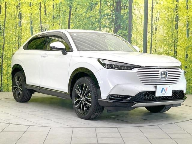 27031910_carP_l_9.jpg
