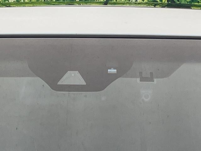 27011429_carP_l_13.jpg