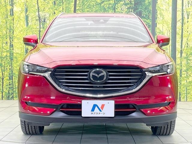27031911_carP_l_8.jpg