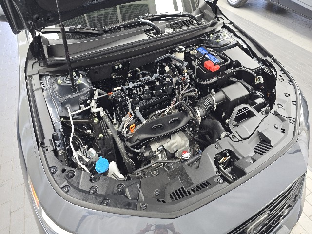 ecea0661d1608f682ff28faeae266ff4.jpeg