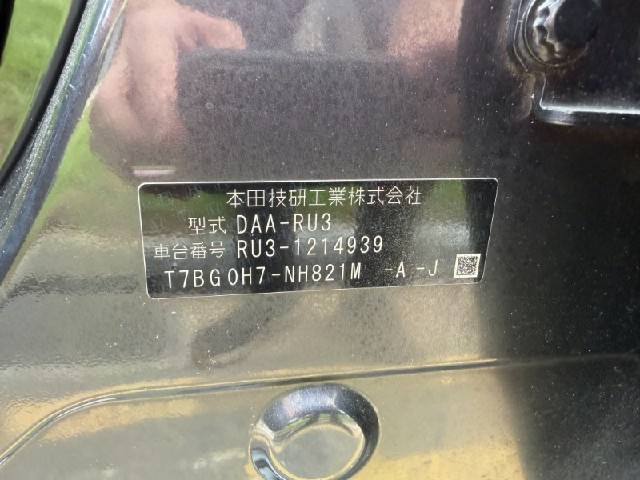 b3175a2c253bf287d7592e9b79609e63.jpeg