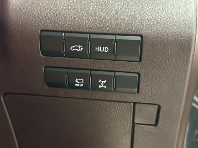 092ff455ec6ecd4d69a6070289f5a152.jpeg