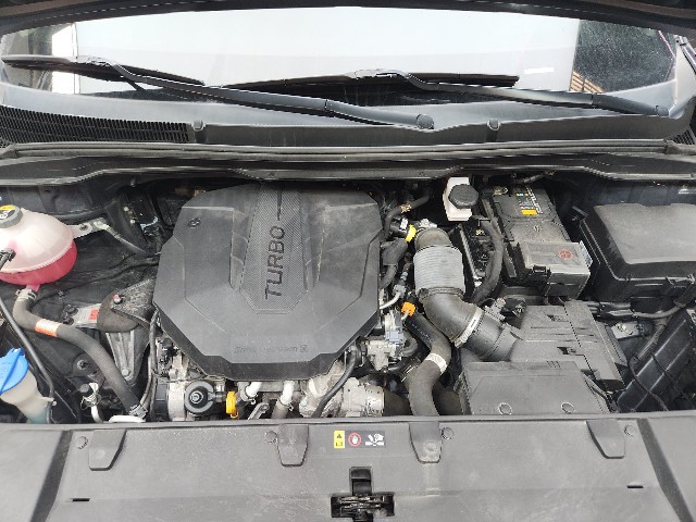 lotterental_152022317_uyg1S_3.jpg