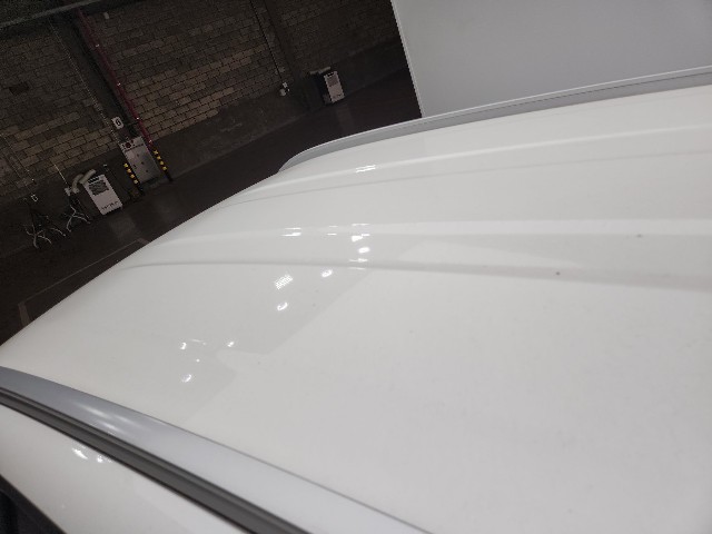 lotterental_00023317_u57Kx_5.jpg