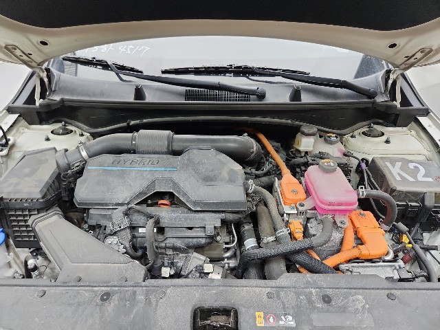 lotterental_000419428_gMdXf_9.jpg