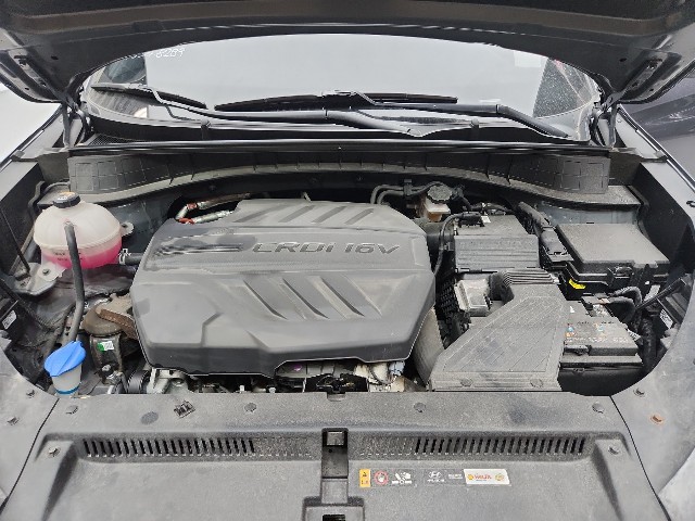 lotterental_145527919_34N6f_7.jpg