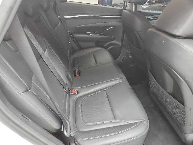 lotterental_223305790_L0Jsw_2.jpg