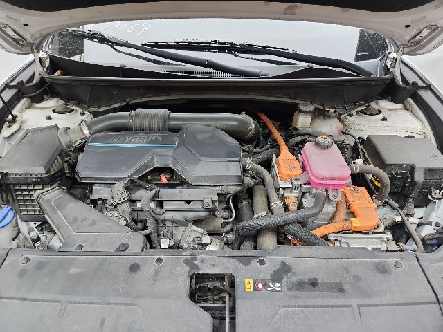 lotterental_223448417_QhpVs_7.jpg