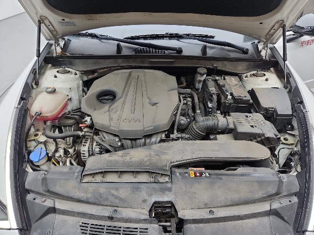 lotterental_213231549_I4wFI_7.jpg