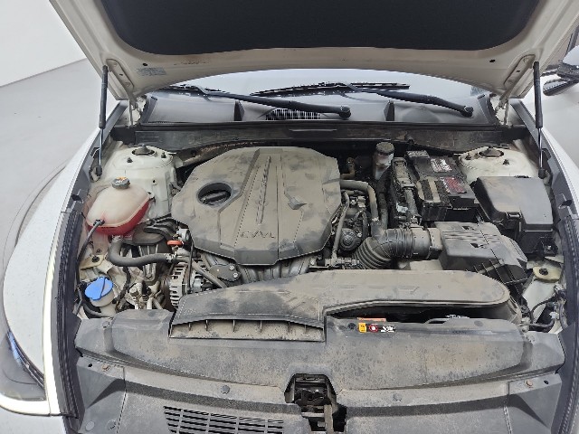 lotterental_143057676_XpeFj_7.jpg