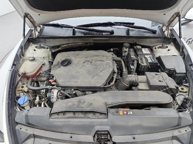 lotterental_231932425_cmBDS_6.jpg