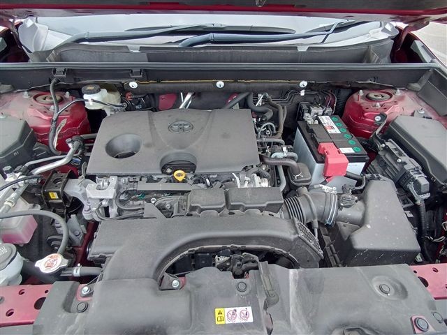 08.jpg