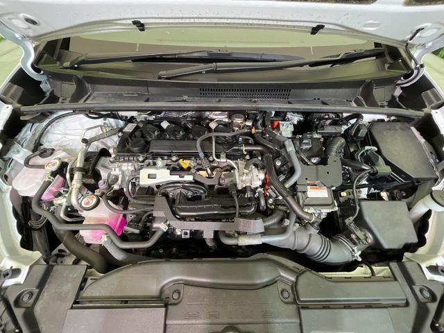 27051987_carP_l_16.jpg
