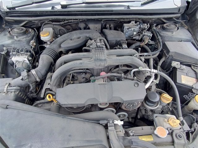 08.jpg