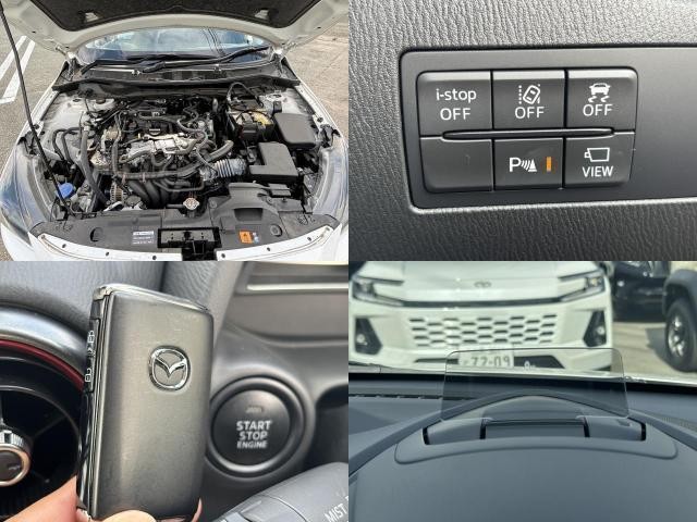 26902502_carP_l_17.jpg