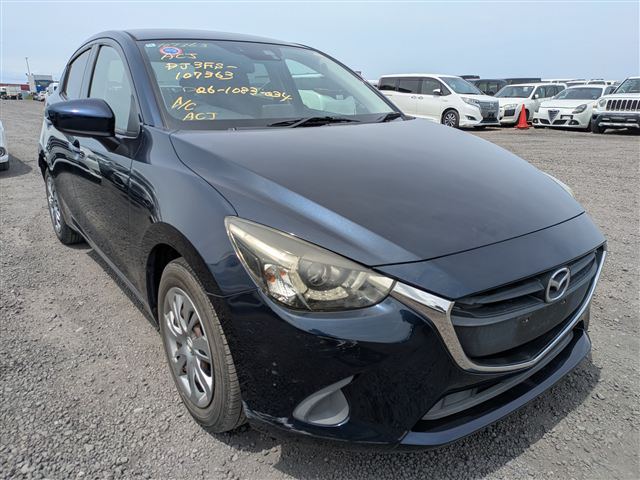 04.jpg