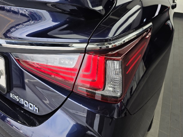 ce69b8876d1138197eff1d3b7b8754b8.jpeg