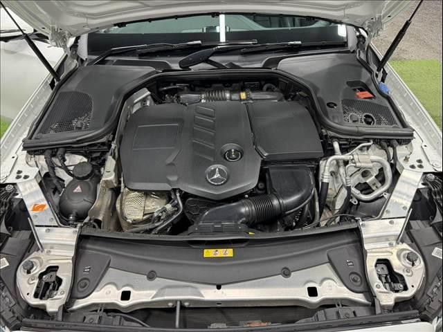 26831376_carP_l_8.jpg
