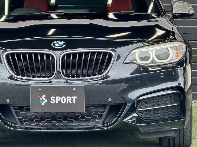 26961806_carP_l_20.jpg