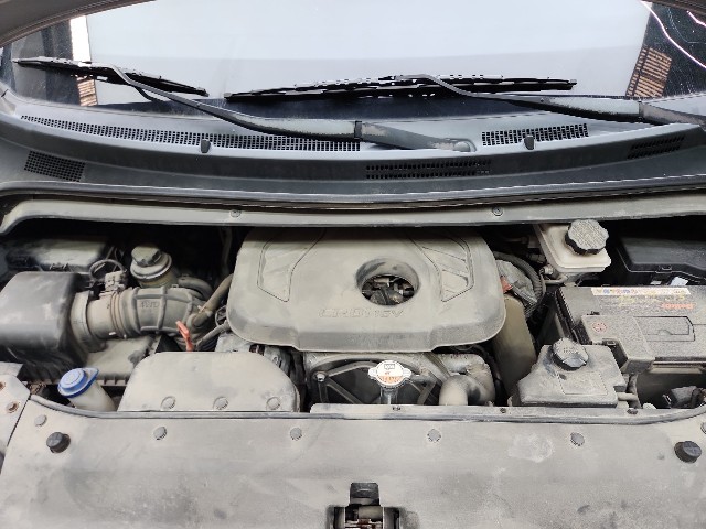 lotterental_145648764_PNVS9_8.jpg