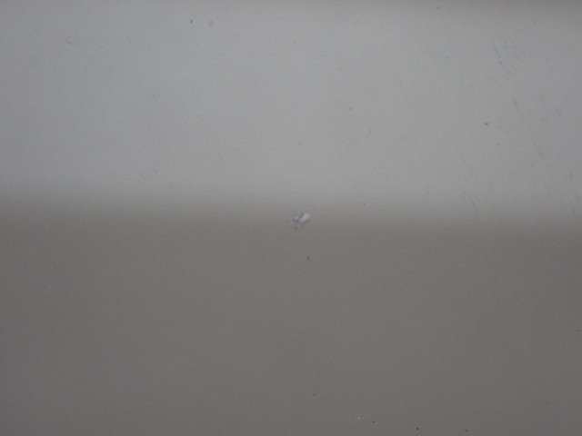 d37b7a4fc867221e321abb04a2d99a9a.jpeg