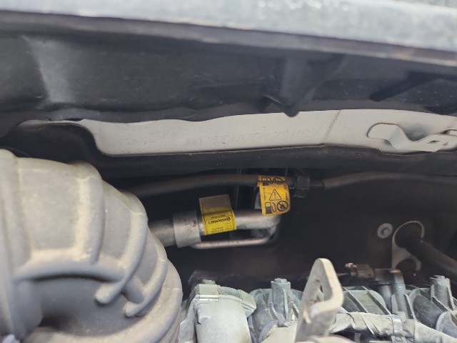 lotterental_151244760_j9S70_3.jpg