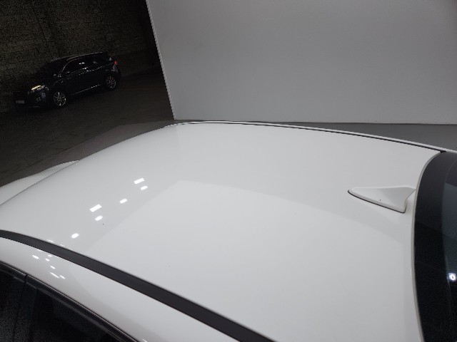 lotterental_134130134_ZX5by_8.jpg
