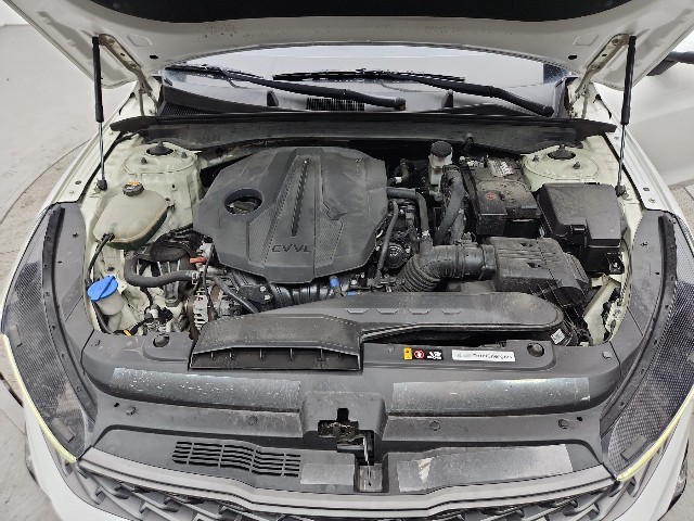 lotterental_134150351_HhgNy_1.jpg