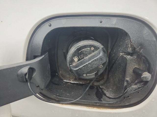 lotterental_155743900_08ie3_9.jpg