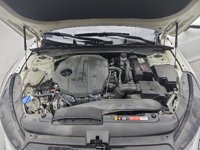 lotterental_155757555_8U3gM_1.jpg