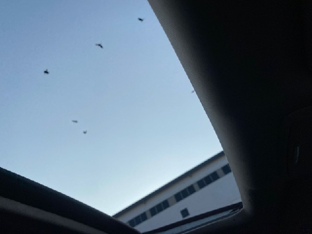 040087eea05b5c10a7ebd0b5731d97c6.jpeg