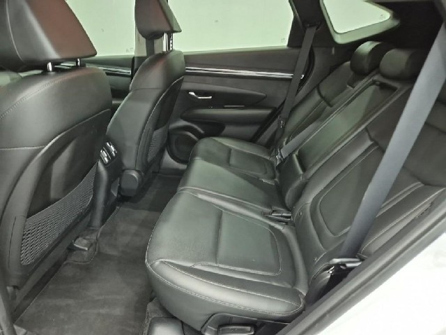 6091001164R12.jpg
