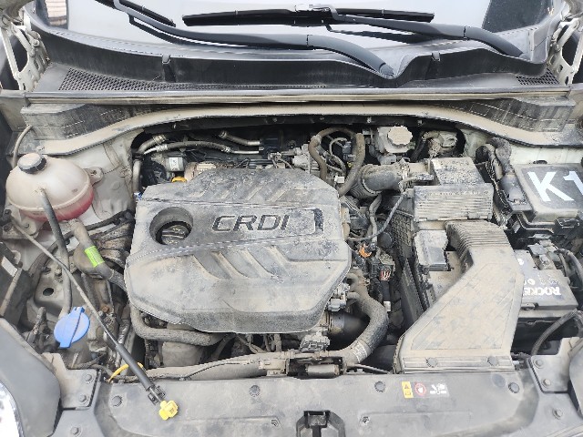 lotterental_153837985_uSR5B_10.jpg