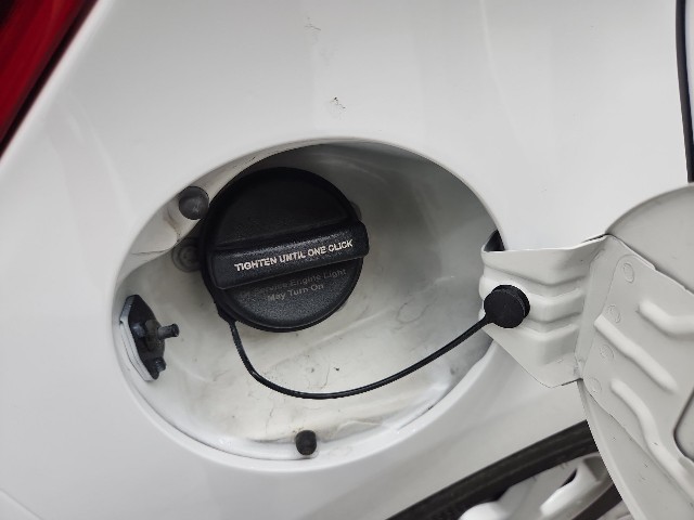 lotterental_152651113_TGEw9_6.jpg