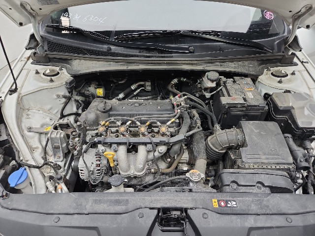 lotterental_152814273_mMzGD_5.jpg