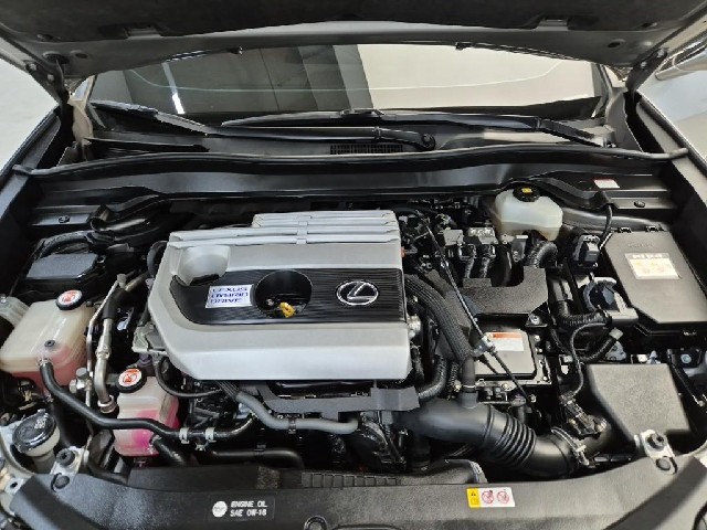 6071501485R5.jpg