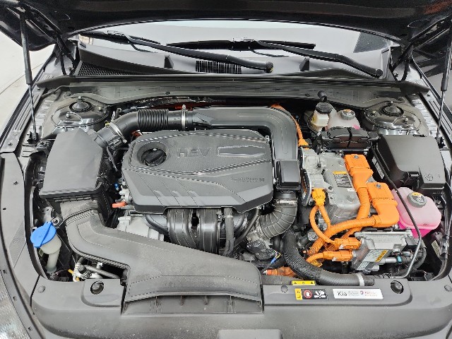 lotterental_143232162_UpCgk_10.jpg