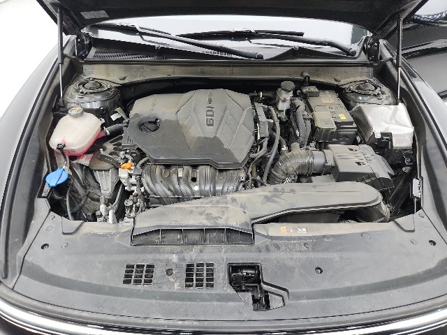 lotterental_142707895_CWHiI_7.jpg