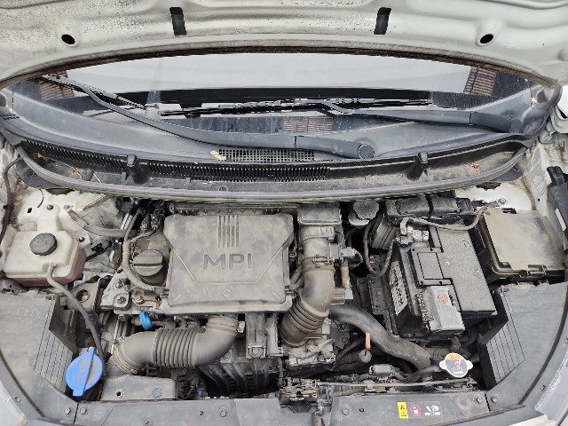 lotterental_091255129_MUfu2_6.jpg