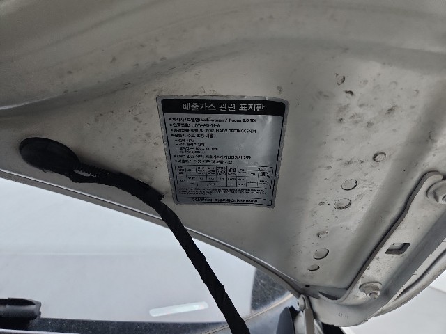 lotterental_221006432_BxaYH_1.jpg