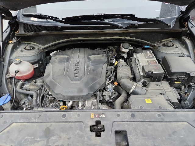 lotterental_160146610_DvtId_10.jpg