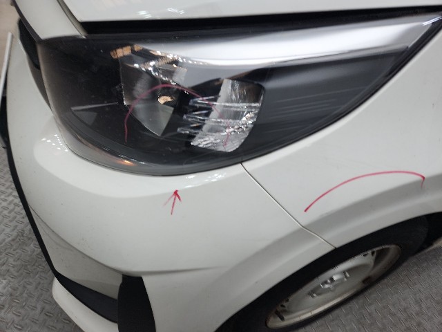 lotterental_145140155_j0Nhi_10.jpg