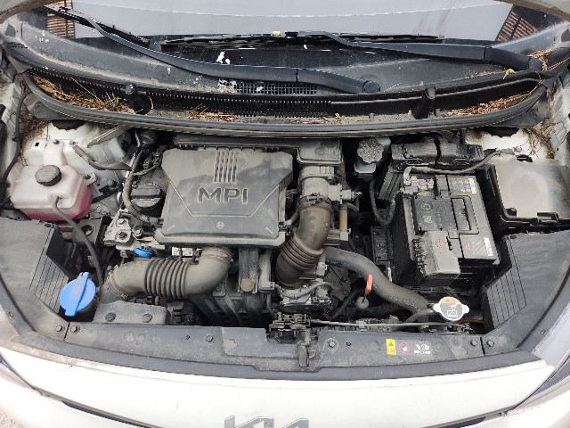 lotterental_14532276_XTKpZ_4.jpg